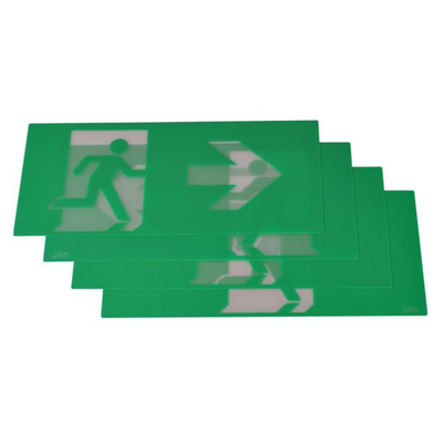 blanco apto rápido 4W 60lm EGS4QLiA de la caja de la salida de Ion Battery Emergency Light LED del litio 60Hz