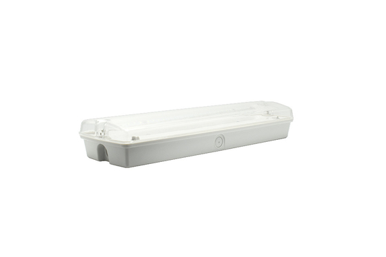 IP65 1.5-3W luces de emergencia LED de mamparo AC 220V Material ABS